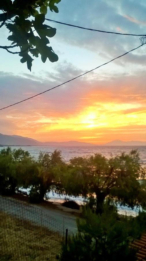 Paralia Platanou Seaview House Ngoại thất bức ảnh